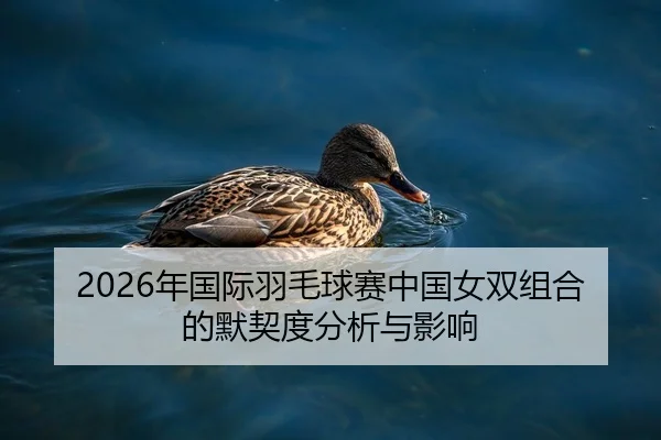 2026年国际羽毛球赛中国女双组合的默契度分析与影响
