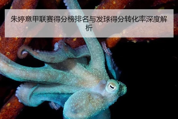 zhu-ting-yi-jia-lian-sai-de-fen-bang-pai-ming-yu-fa-qiu-de-fen-zhuan-hua-lv-shen-du-jie-xi-2-459.jpg
