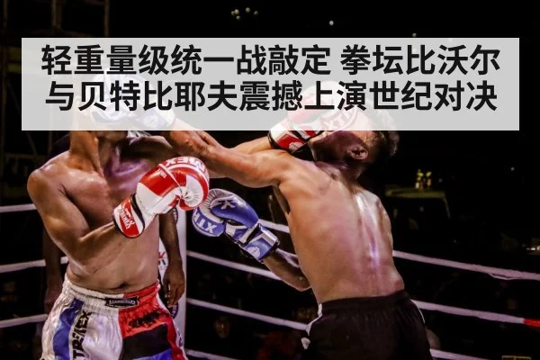 boxer training gloves